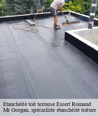 etancheite-toit-terrasse
