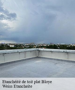 etancheite-de-toit-plat