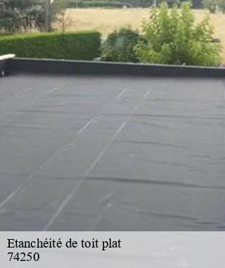 etancheite-de-toit-plat