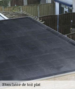 etancheite-de-toit-plat
