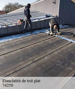 etancheite-de-toit-plat