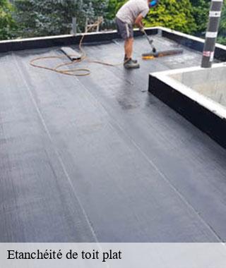 etancheite-de-toit-plat