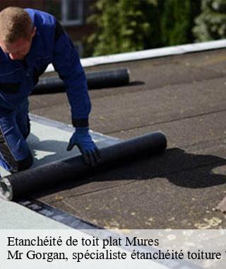 etancheite-de-toit-plat