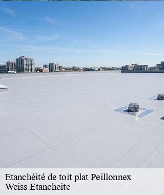 etancheite-de-toit-plat