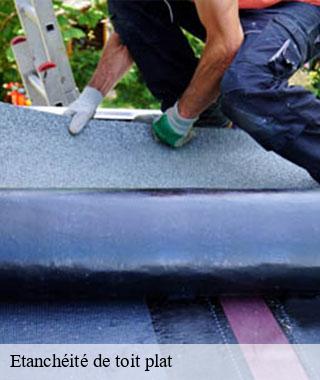 etancheite-de-toit-plat